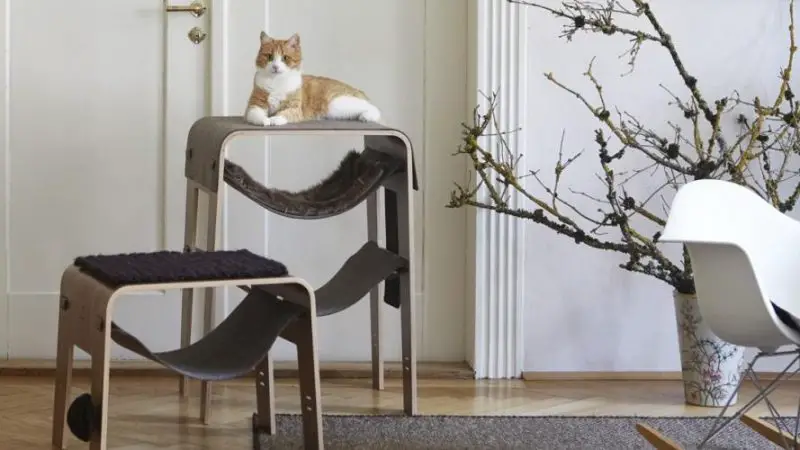 Arbre à chat : quels sont ses avantages et où le placer ?