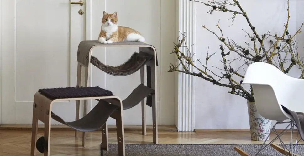 Kedi ağacı: avantajları nelerdir ve nereye yerleştirilir?