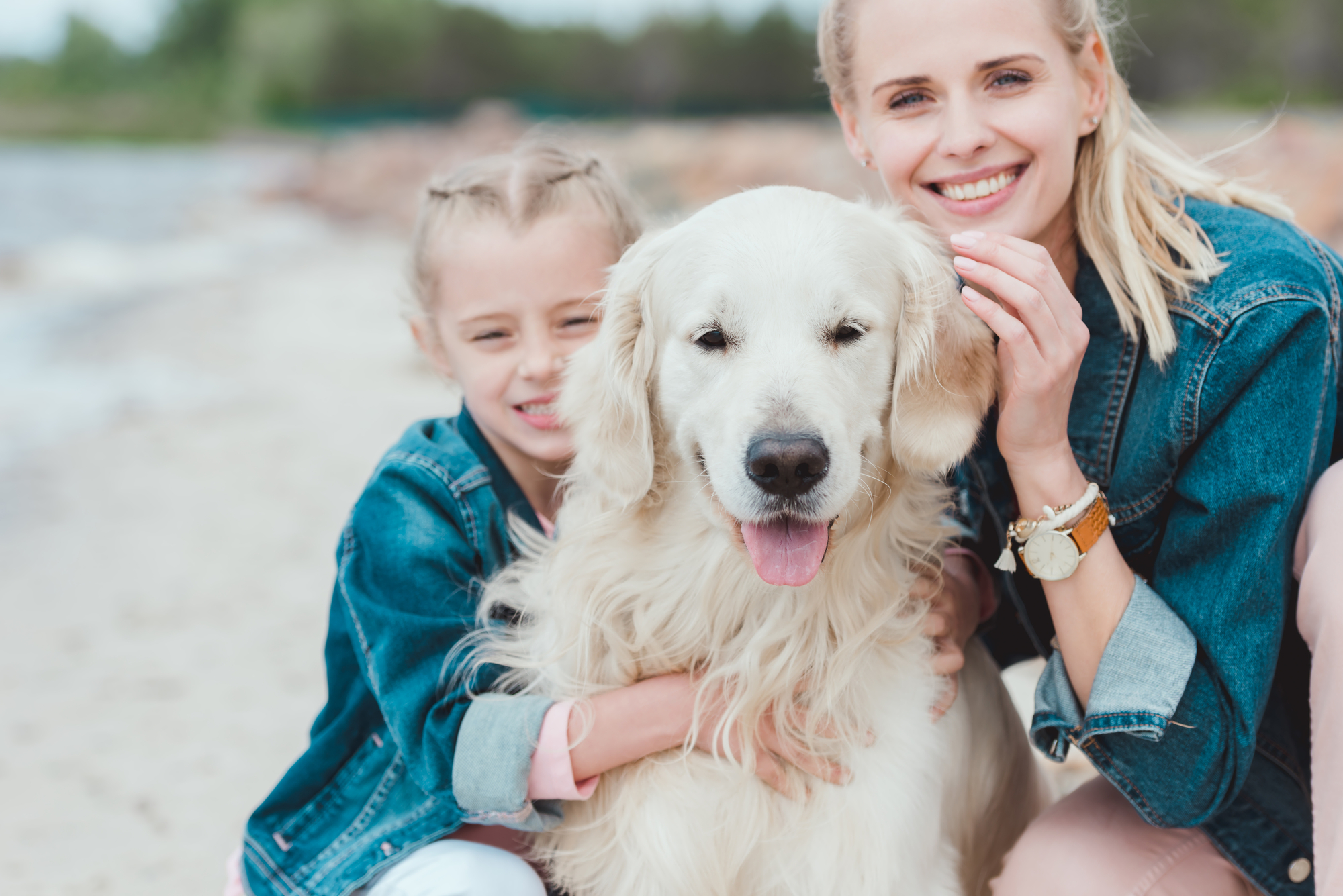 Hundehygiene Bürsten