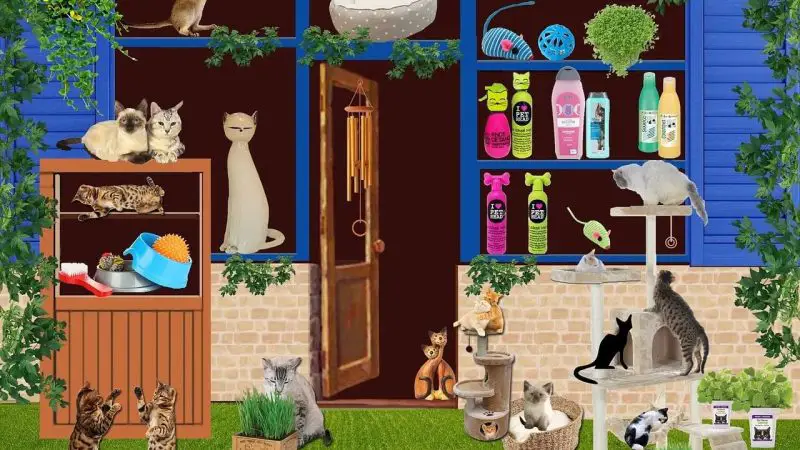 Trouver une animalerie en ligne pour chien et chat