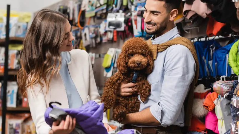 Le Marché de l’Animalerie 2024 : Tendances, Innovations et Opportunités